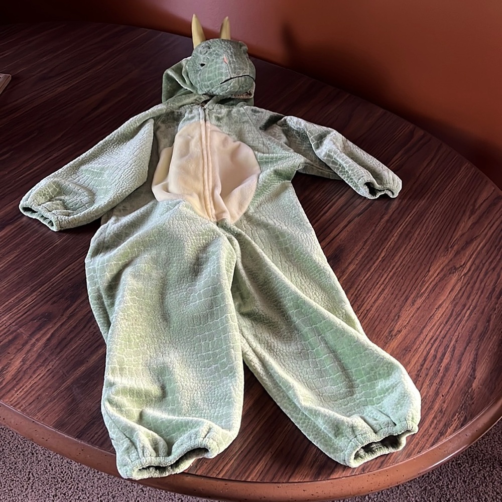 Kids size 4-6 dinosaur costume